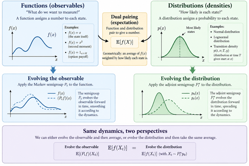 Infographic explaining the concepts of functions, distributions, and their evolution in the context of Markov processes. It includes definitions, examples, and diagrams illustrating observables, transition densities, and the relationship between evolving observables and distributions.
